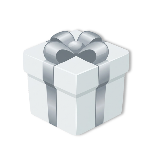 Silver Mystery Gift